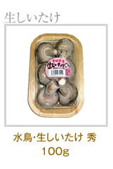 �����E���������� �G�@100g