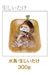 �����E�����������@300g