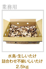 �����E���������� �l���킹�s�������������@2.5kg