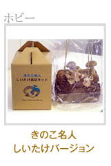 ���̂����l ���������o�[�W����