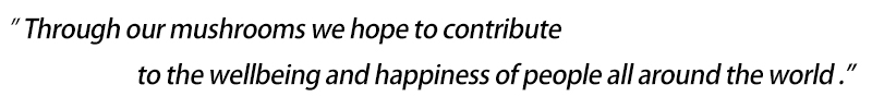 Through our mushrooms we hope to contribute to the wellbeing and happiness of people all around the world!